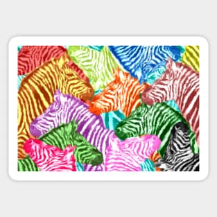 PopZebra Sticker